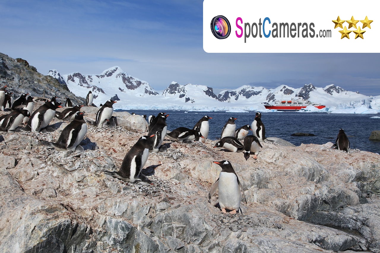 Spotcameras - kamery na żywo - Antarktyda
